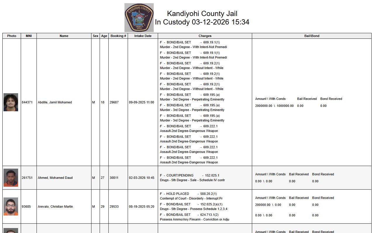 Kandiyohi County busted mugshots in custody list