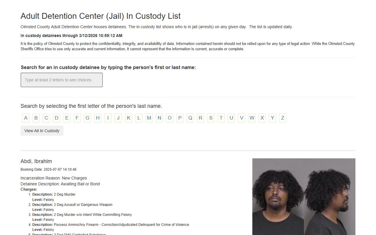 Olmsted County busted mugshots detainee list